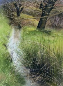 AQUARELLES Riu des joncs