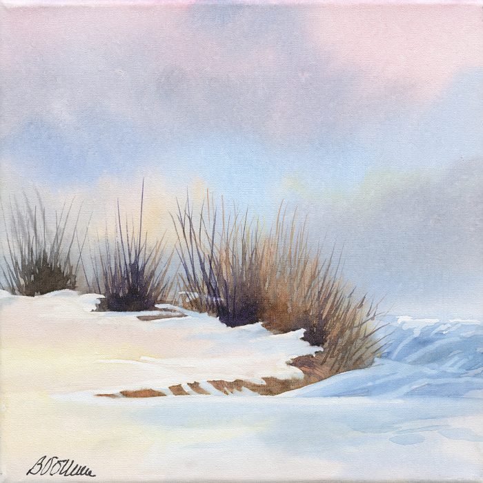 hirsute rousseur web